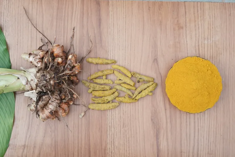 Burn Gummy™ Berberine HCl Ingredient
