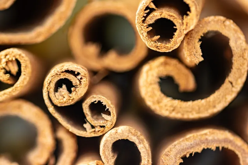 Burn Gummy™ Cinnamon Bark Extract Ingredient
